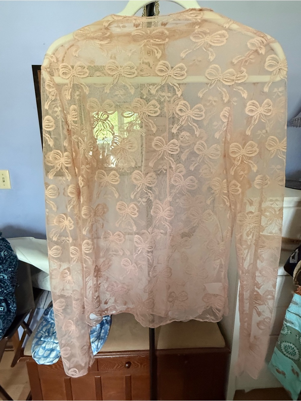 BiBi Sheer Lace Top in Blush